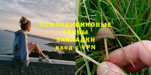тгк Алексин