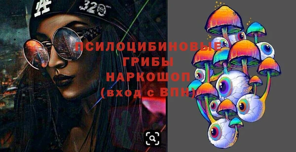 тгк Алексин
