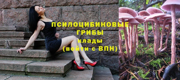 тгк Алексин