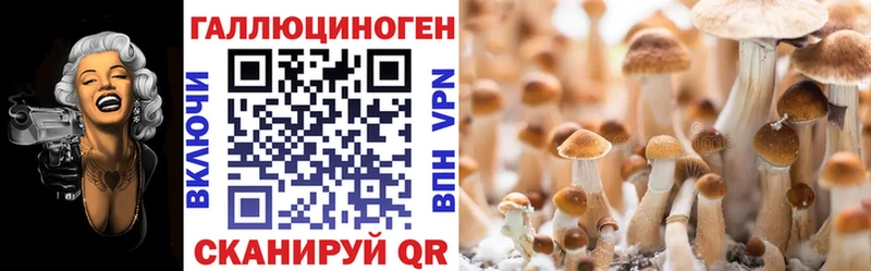 Галлюциногенные грибы прущие грибы  Сортавала 
